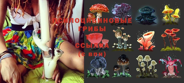 бутират Майский