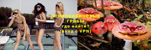 ECSTASY Липки