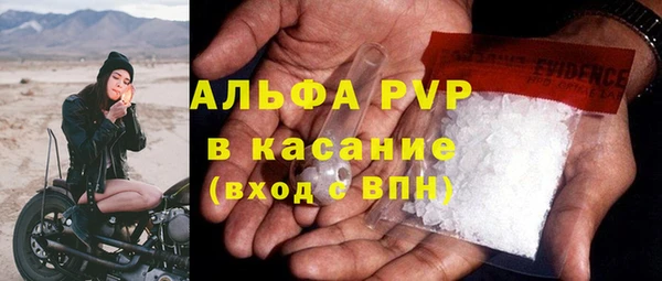 ECSTASY Липки