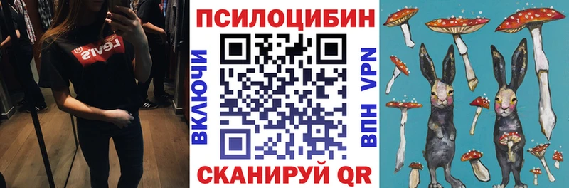 Псилоцибиновые грибы прущие грибы купить Сочи