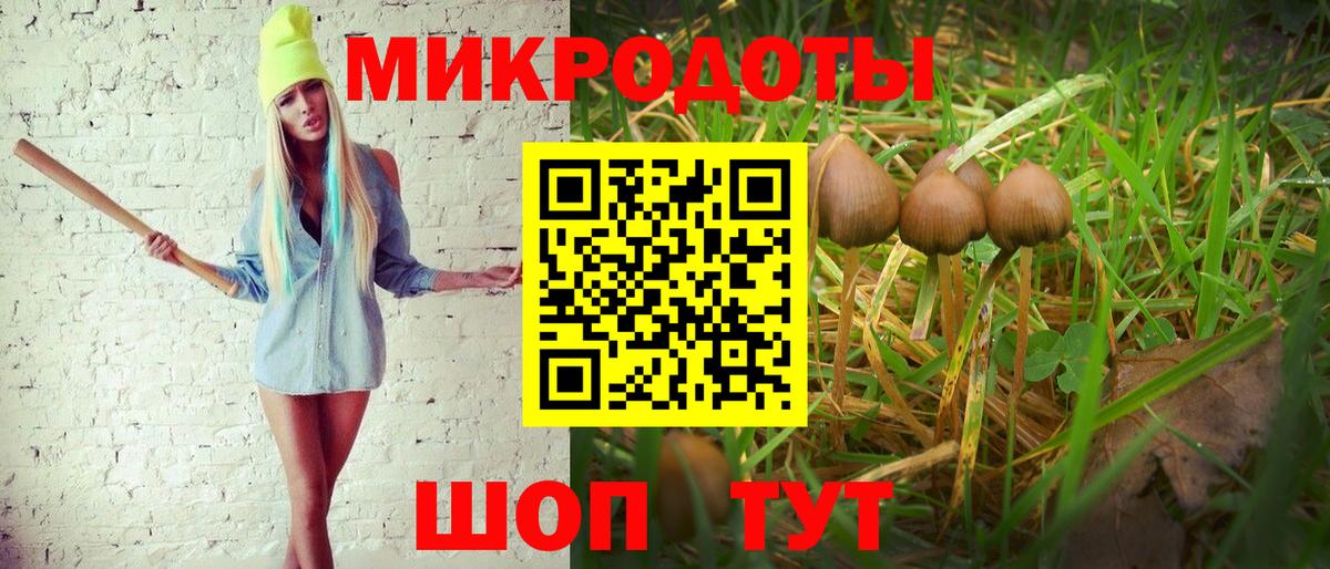 Псилоцибиновые грибы Magic Shrooms Сочи
