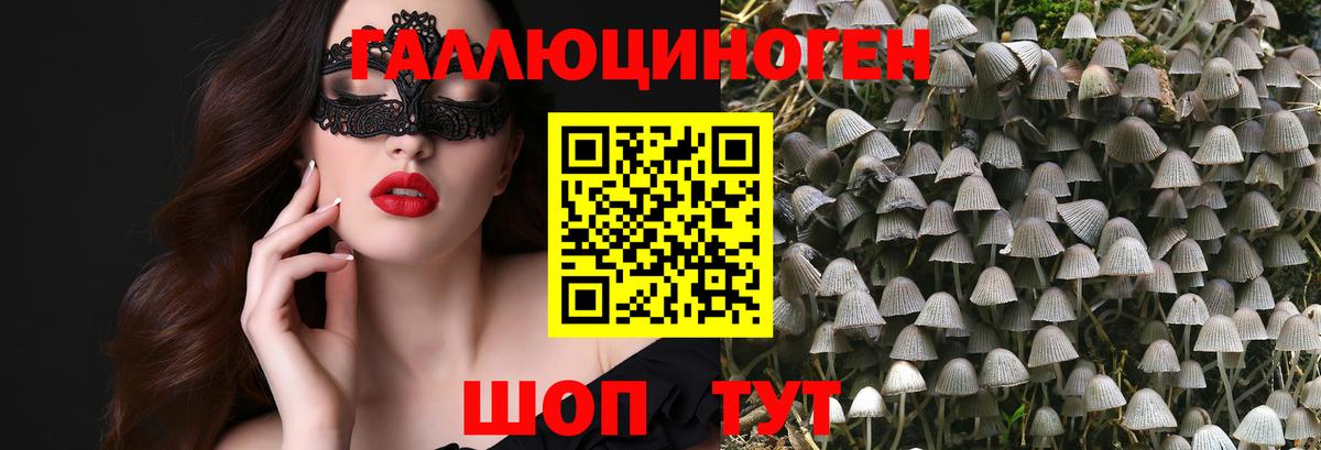 где можно купить   Вход с VPN  Сочи  Галлюциногенные грибы GOLDEN TEACHER 